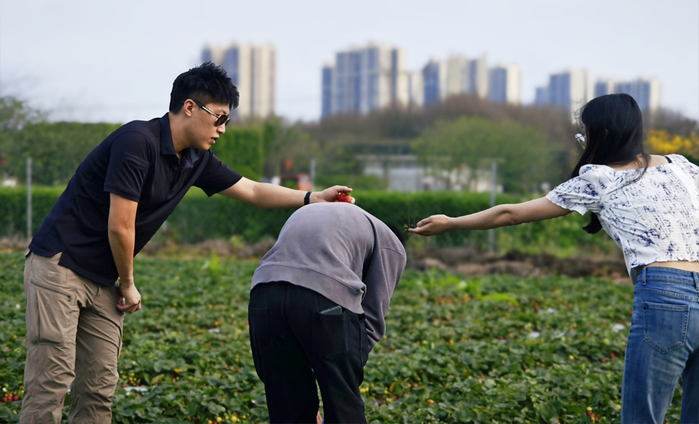 AG旗舰厅 (中国大陆) 有限公司官网