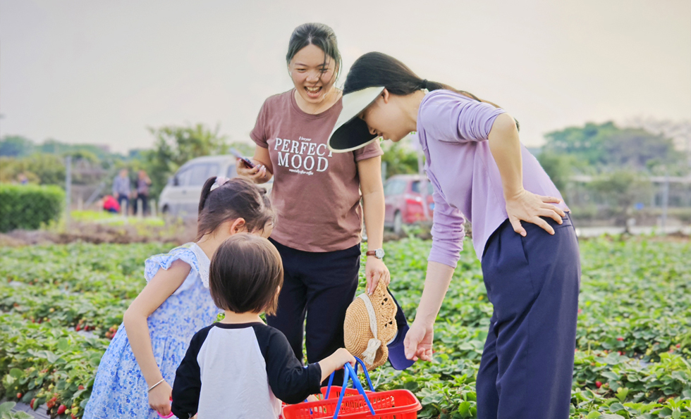 AG�콢�� (�й���½) ���޹�˾����