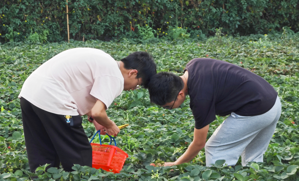 AG�콢�� (�й���½) ���޹�˾����