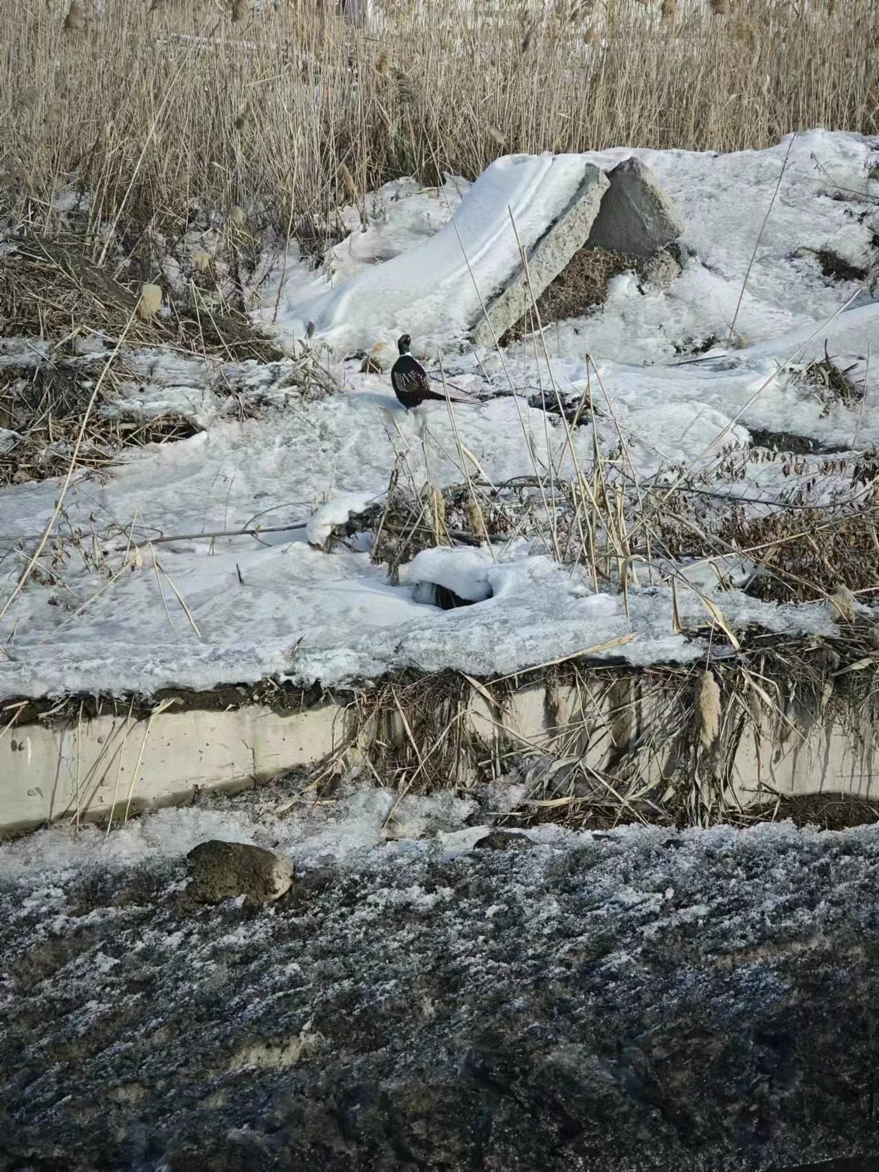 AG�콢�� (�й���½) ���޹�˾����