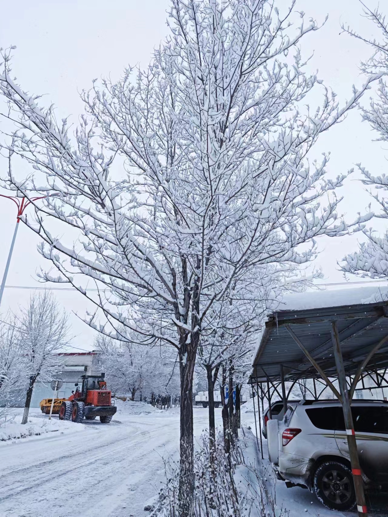 AG�콢�� (�й���½) ���޹�˾����