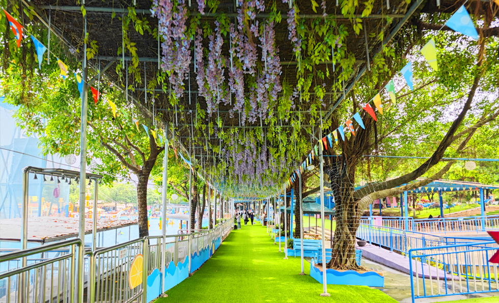 AG�콢�� (�й���½) ���޹�˾����