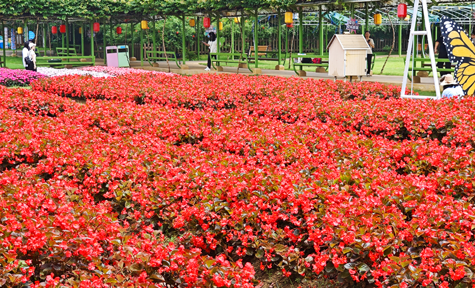 AGÆì½¢Ìü (Öйú´ó½) ÓÐÏÞ¹«Ë¾¹ÙÍø